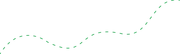 Line Image