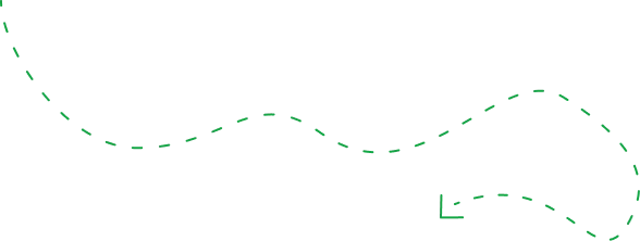Line Image